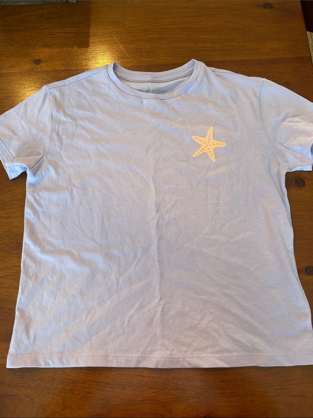 Kids Light Blue Starfish Graphic Tee-JCrew Crew Cuts